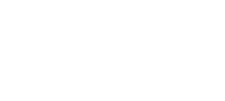 Duracell Energy platinum partner